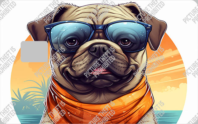 Bank  Card Sticker-BC-2290